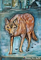 VBS_1588 - Mostra San Francesco. Il Cantico delle Creature